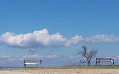 Virtual exhibition “Freedom in nature”