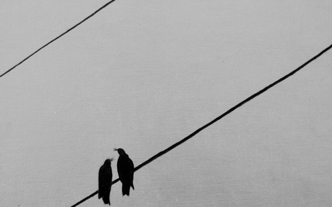 Birds and Wires 2