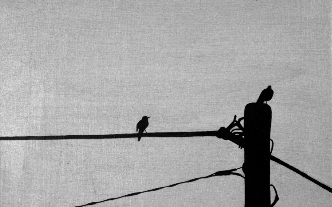Birds and wires 5