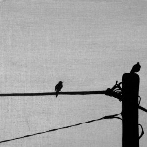 Two black birds on a post and an electrical wire on the silver surface