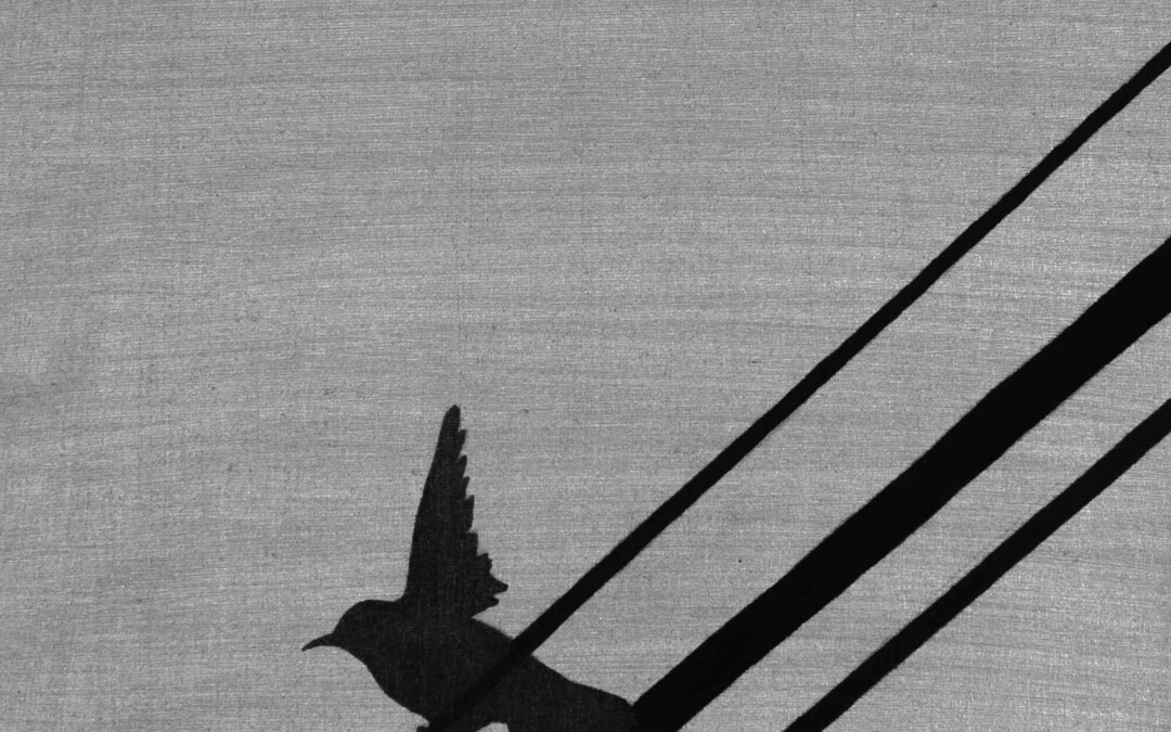 Birds and wires 6