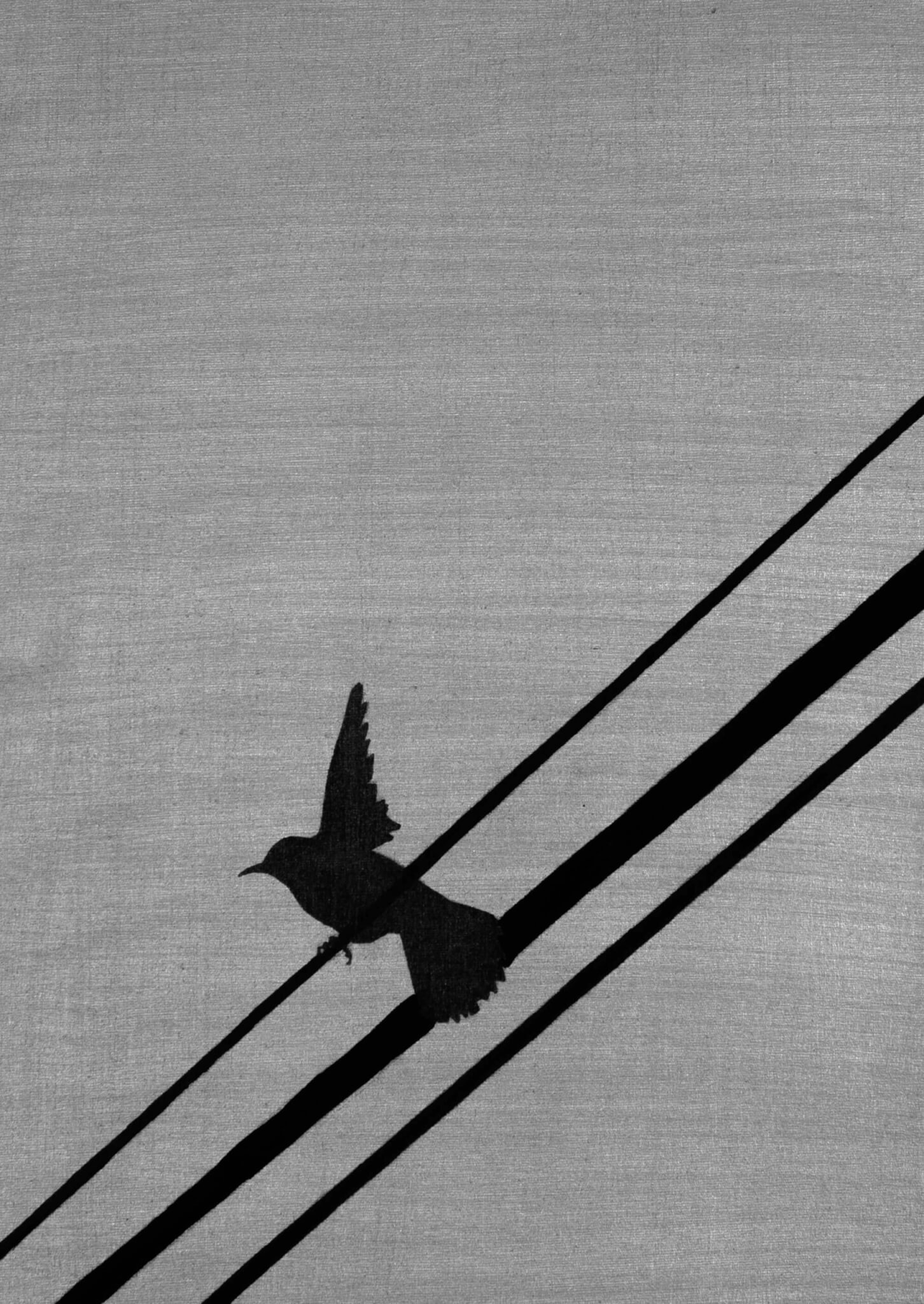 A painting of the black bird with black electric wires on the silver canvas background